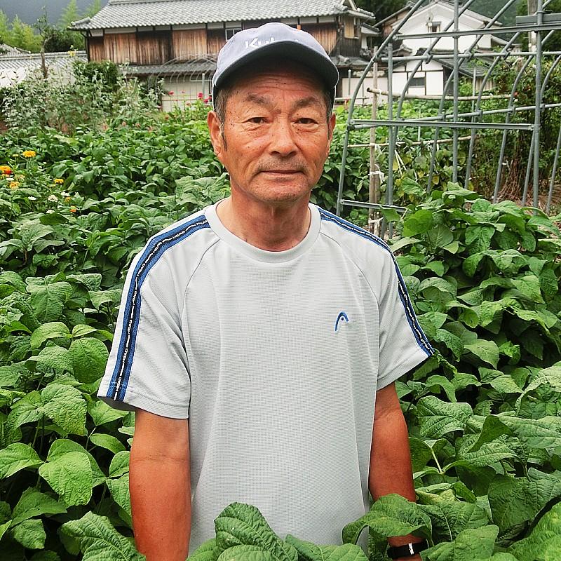 枝豆 川北産 丹波 黒豆 枝豆 2束 2kg |  | 01