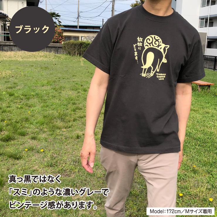 放牧にでてます カラー Tシャツ ブラック ベージュ 競馬 馬 放牧 半袖 男女兼用 クルーネック 丸首 プレゼント メール便 送料無料 サラブレッド LOVE C021 |  | 06