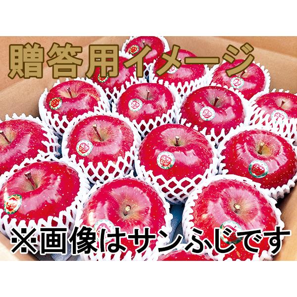 「王林」贈答用 5kg(1段詰め)12〜20個（糖度15%以上保証）送料込み【岩木山麓フルーツファーム】 |  | 01