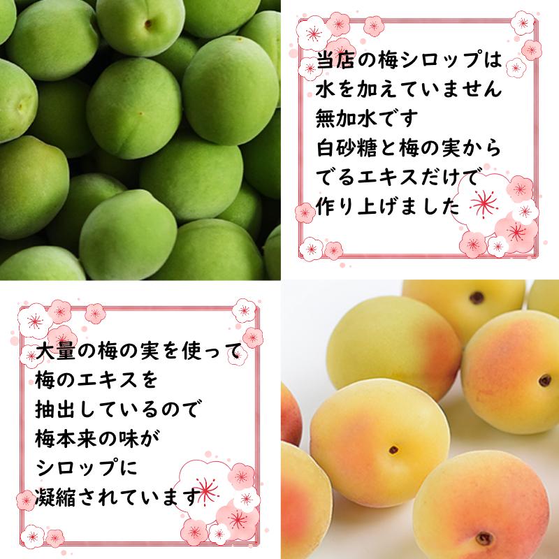 梅シロップ 日本製 1000ml 青梅 完熟梅 無添加 ギフト 茨城県産 梅ジュース 原液