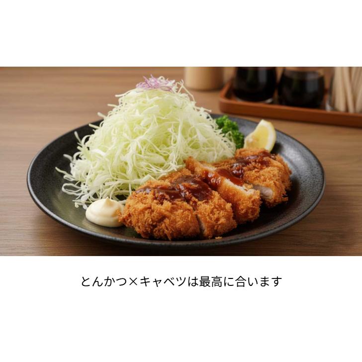 サンクラフト（SUNCRAFT） 家庭用 業務用にも使える ふわふわ キャベツ