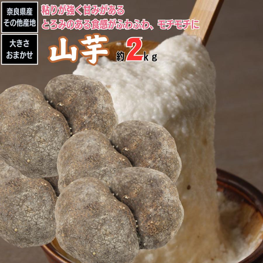 人気絶頂 やまいも 山芋 山の芋 奈良県産 その他産地 2kg 送料無料