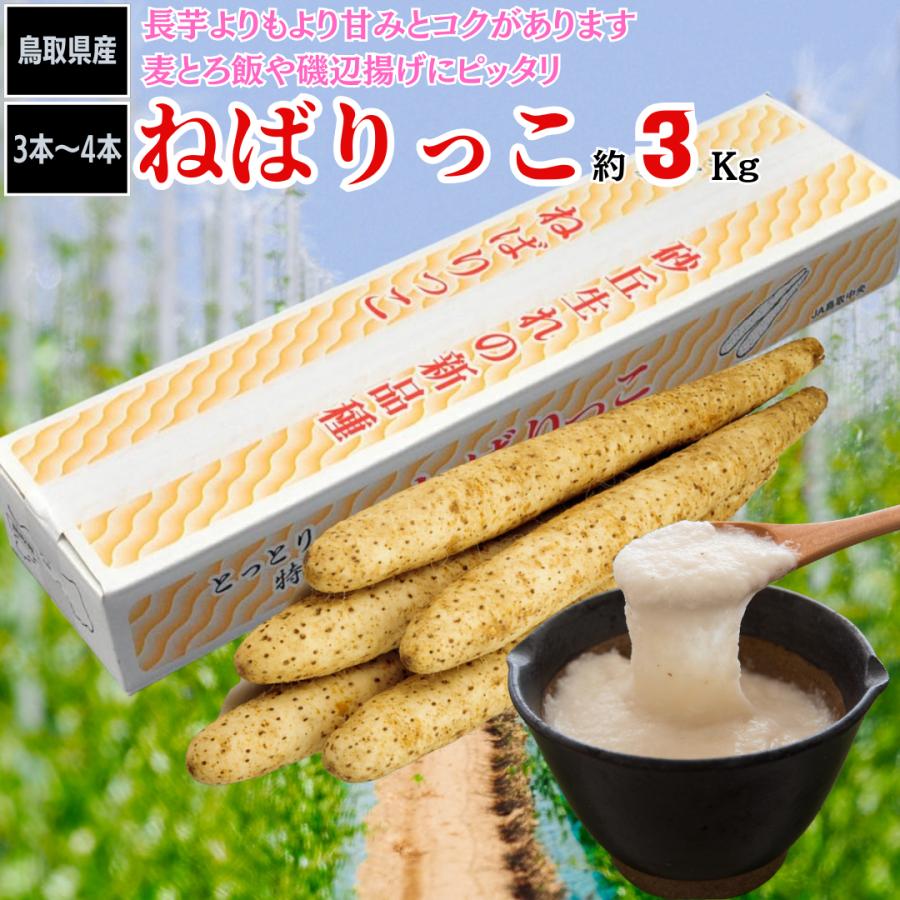長芋 ねばりっこ 鳥取 3kg 3本〜4本 : いいものFes - 通販 長芋 ねばりっこ 鳥取 3kg 3本〜4本 : いいものFes - 通販