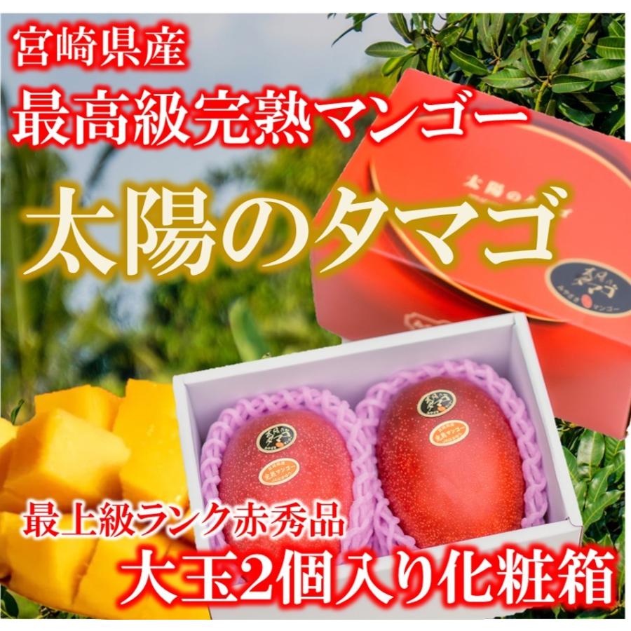 完熟マンゴー 太陽のタマゴ 赤秀品 最高級 プレゼント 2L以上 糖度15度以上