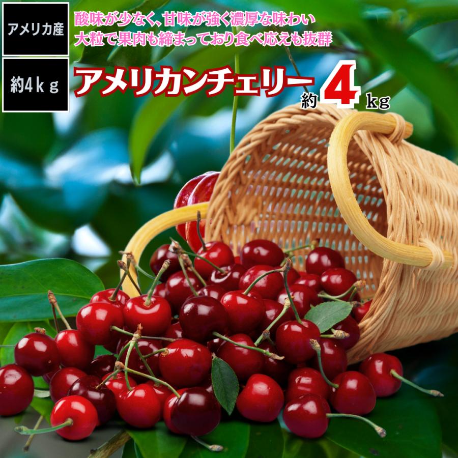 チェリー アメリカンチェリー 大粒 4ｋｇ 甘い 旬 美品