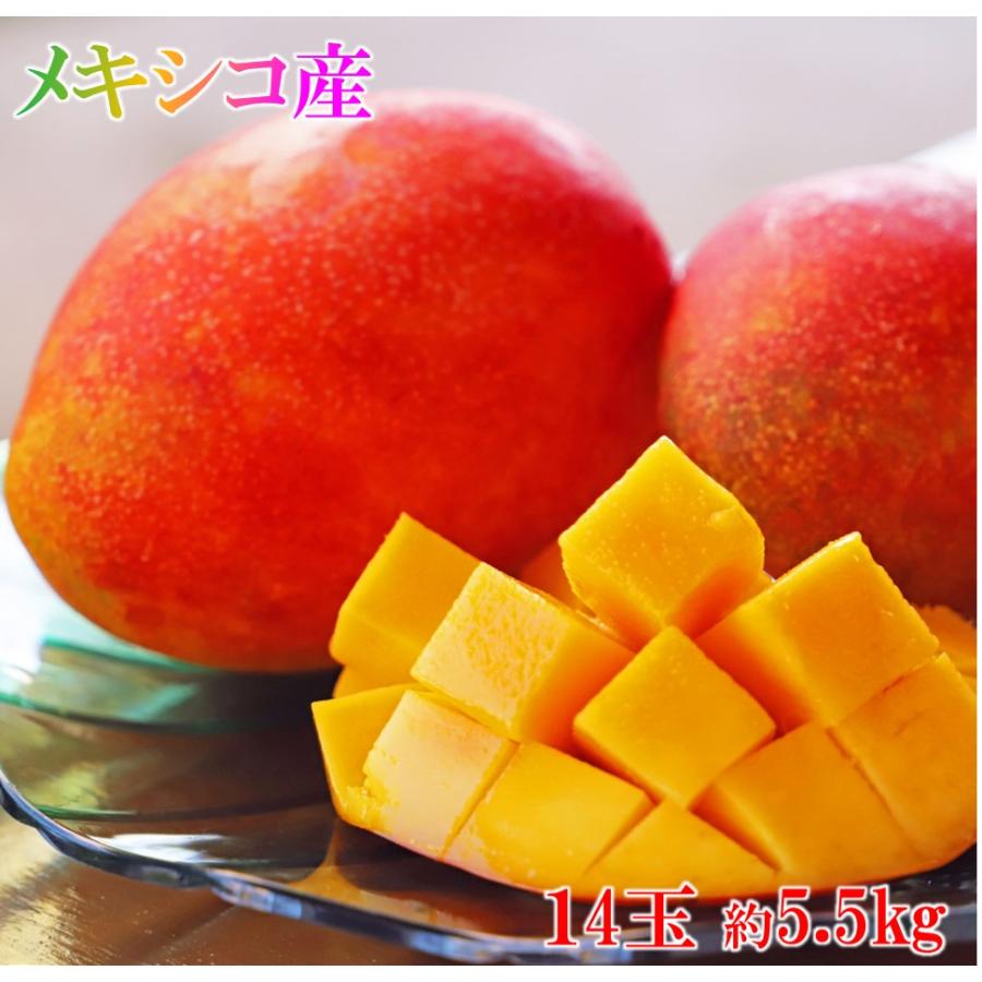 マンゴー アップルマンゴー メキシコ産 14玉 約5kg 甘い Limesdecor In