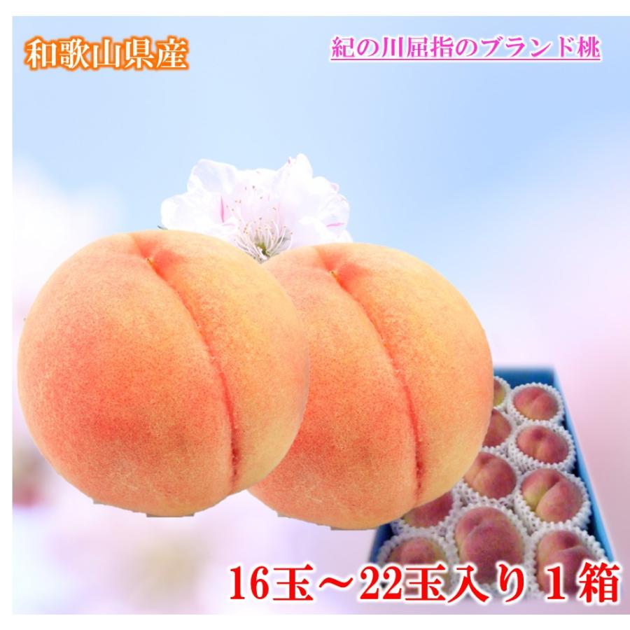 新作製品、世界最高品質人気! 桃 もも 和歌山県産 あら川の桃 1箱18玉〜22玉 新作製品、世界最高品質人気! 桃 もも 和歌山県産 あら川の桃 1箱18玉〜22玉