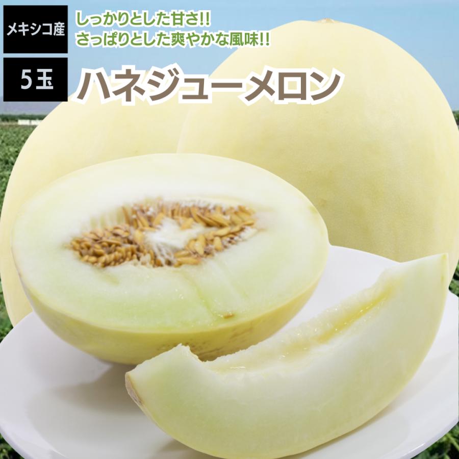 60%OFF!】 メロン ハネジューメロン メキシコ 5玉 約12ｋｇ 甘い