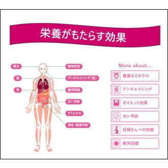 ドラゴンフルーツ ピタヤ ベトナム産 13個 1箱 白肉種 |  | 02