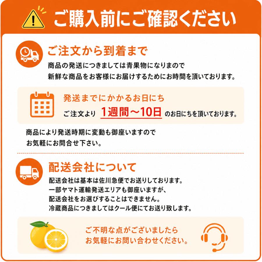 ドラゴンフルーツ ピタヤ ベトナム産 13個 1箱 白肉種 |  | 06