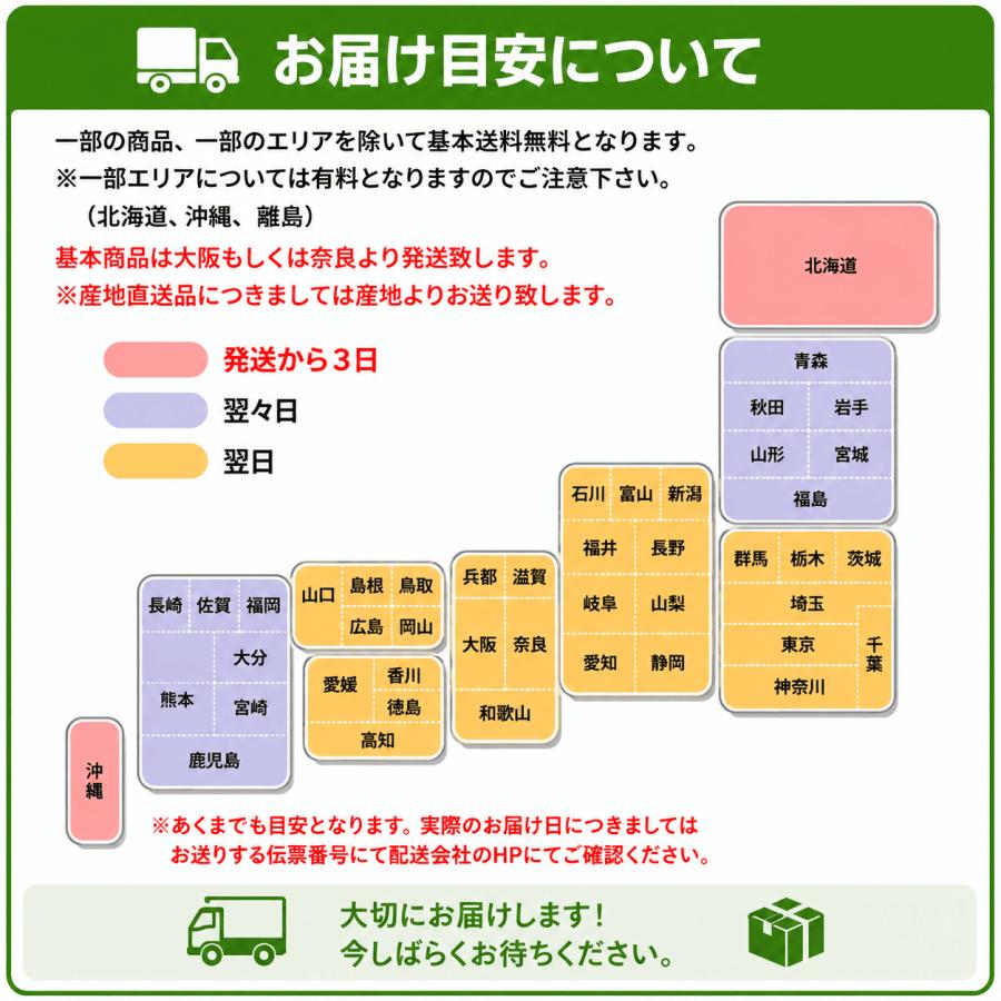 ドラゴンフルーツ ピタヤ ベトナム産 13個 1箱 白肉種 |  | 07