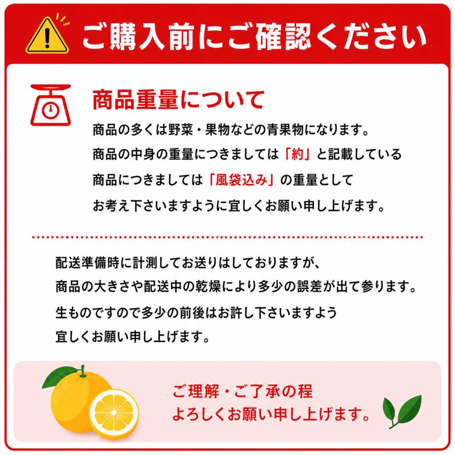 ドラゴンフルーツ ピタヤ ベトナム産 13個 1箱 白肉種 |  | 08