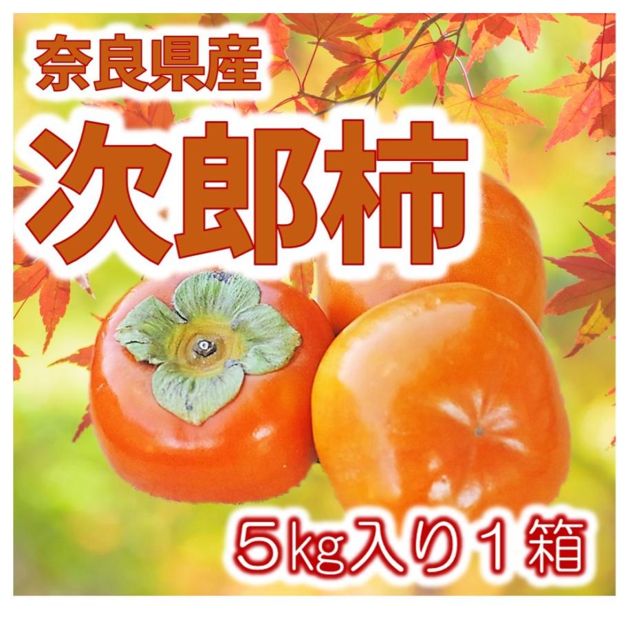 柿 かき 次郎柿 奈良県産 5kg 甘い いいものfes 通販 Yahoo ショッピング