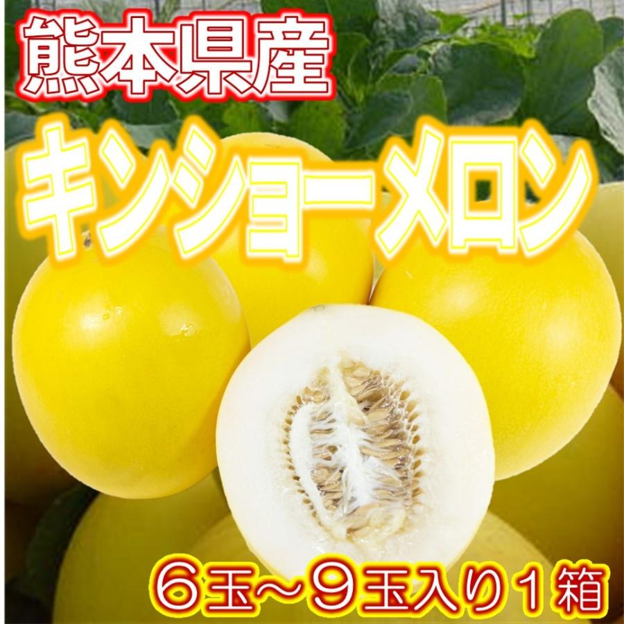 木様専用 マンゴスチン5kg と アメリカンチェリー 3kg Www Spndoshicollege Com