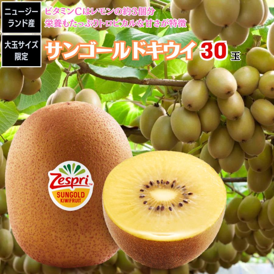 キウイ ゼスプリサンゴールドキウイ 22玉 25玉 3kg ニュージーランド産 甘い いいものfes 通販 Yahoo ショッピング