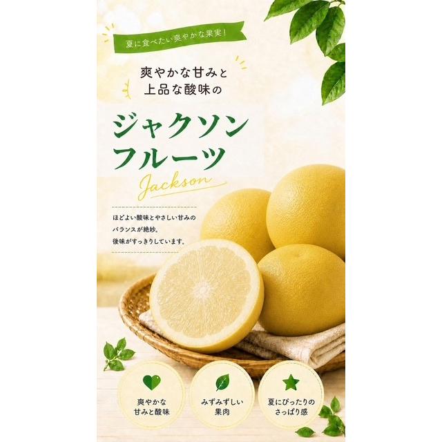 ジャクソンフルーツ ギフト 約2.5kg（10玉前後） 南アフリカ産 お中元