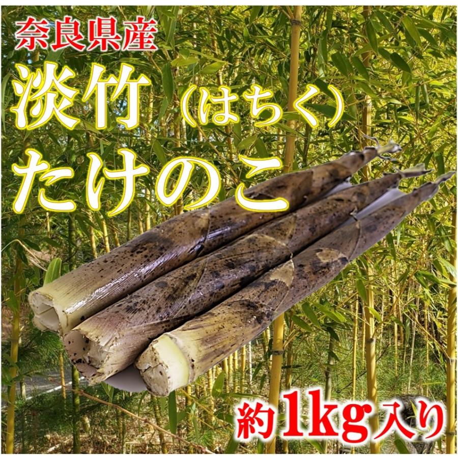 日本正規代理店品 たけのこ 筍 淡竹たけのこ 約1ｋｇ 奈良県産