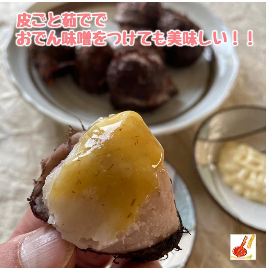 さといも 赤目芋 セレベス 愛媛県産 産地直送 送料無料 ２ｋｇ A Na0003 いいものfes 通販 Yahoo ショッピング