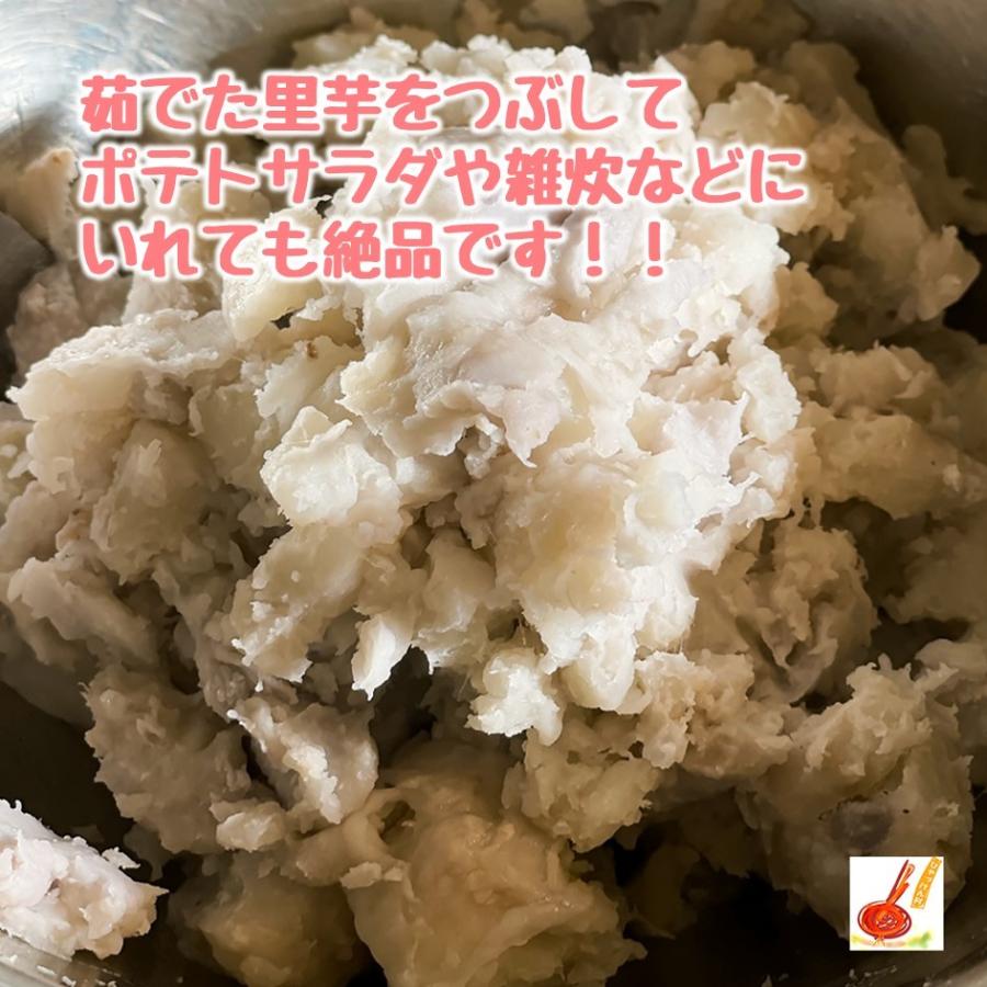 さといも 赤目芋 セレベス 愛媛県産 産地直送 送料無料 ２ｋｇ A Na0003 いいものfes 通販 Yahoo ショッピング