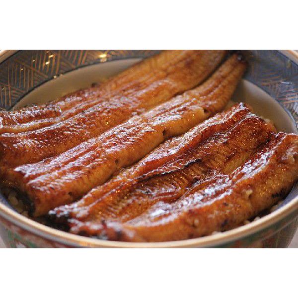 国産 共水うなぎの蒲焼真空パック 半身（６０ｇ）１枚 お取り寄せ グルメ ギフト 【うなぎ料理専門店せしも】 | 