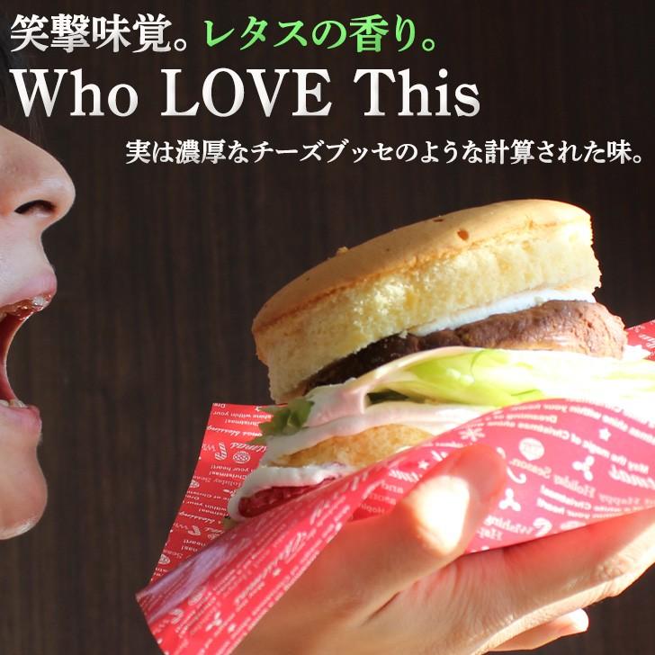 子供 ケーキバーガー 5号 ギフト 誕生日ケーキ ハンバーガー 面白い おもしろ パーティーケーキ バースデーケーキ 立体ケーキ サプライズ 送料無料 Hamburgercake いいなstores 通販 Yahoo ショッピング