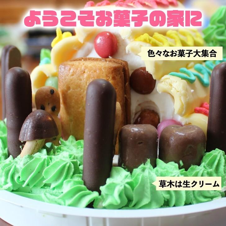 21最新作 母の日 子供 お菓子の家 ケーキ 5号 ギフト 誕生日ケーキ 女の子 面白い おもしろ バースデーケーキ 立体ケーキ 記念日ケーキ 送料無料 Wantannas Go Id