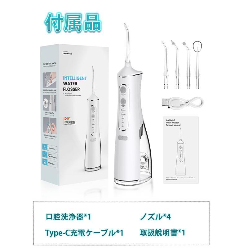 口腔洗浄器 歯垢除去 超音波ジェットウォッシャー 口腔洗浄機 4つモード 300ML IPX7防水 携帯 歯間ジェット ポケット 家庭用 母の日 父の日 プレゼントの画像