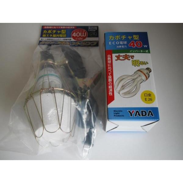 YADA カボチャ 型 蛍光灯 40W 本体 4mコード付 +替球セット : いいね