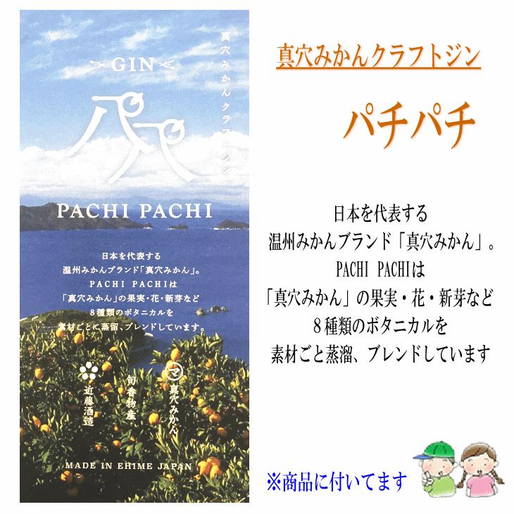 クラフトジン PACHIPACHI（パチパチ）200ml 近藤酒造 真穴みかん 旬香