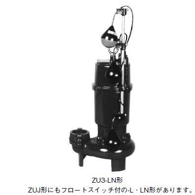 Kawamoto 水中ポンプ US imgrc0065578897.jpg