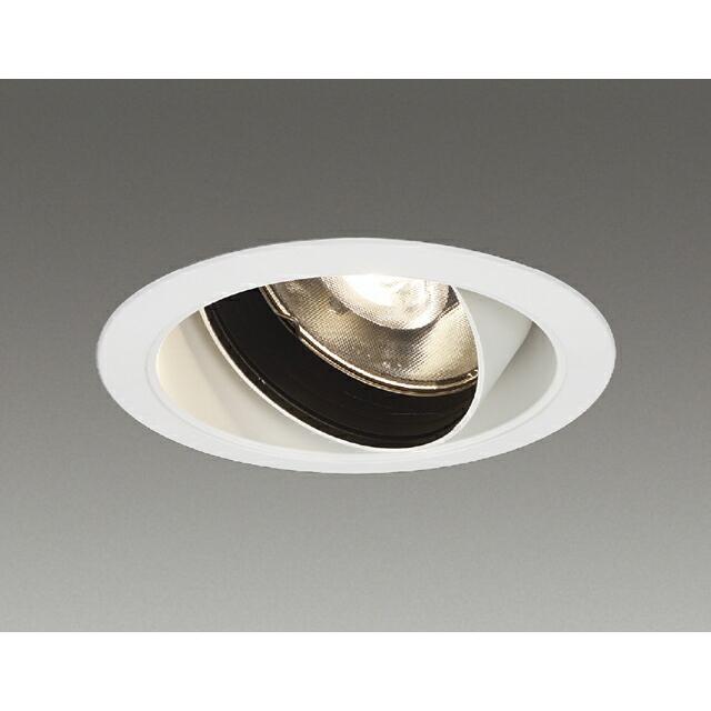 ###β東芝 照明器具ＬＥＤ一体形ダウンライト ユニバーサルＤＬ２０００白塗鮮魚用 受注生産 ｛S1｝