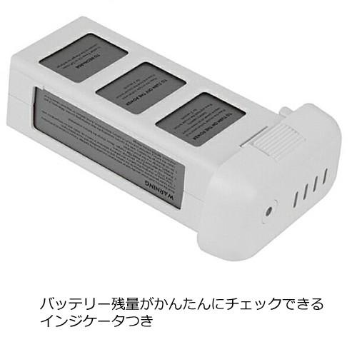 色褪せない当時の記憶蘇るアイルトンセナ1992 日の丸仕様 色褪せない当時の記憶蘇るアイルトンセナ1992 日の丸仕様