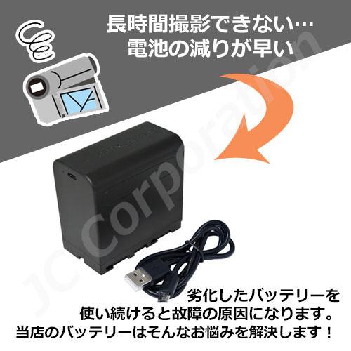 SONY NP-FV70 2個セット新品未使用 Sony NP-FV70 Battery (2-Pack) by Wasabi Power