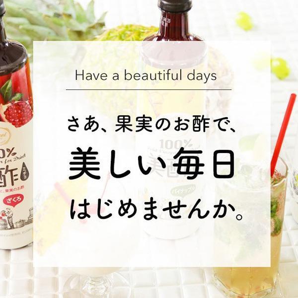 美酢 バラエティセット 15本 美酢 × 紅酢 バラエティパック お選12本セット 1BOX / 900ml×12本