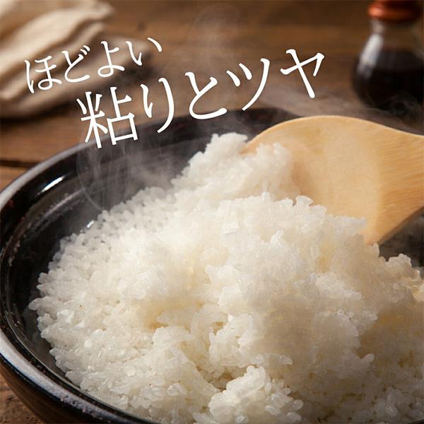 日本産] お米 令和7年産 新米 / 10kg 白米 日本米 業務用 精米 #送料 