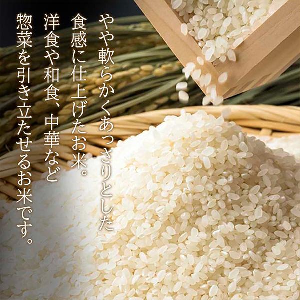 日本産] お米 令和7年産 新米 / 10kg 白米 日本米 業務用 精米 #送料