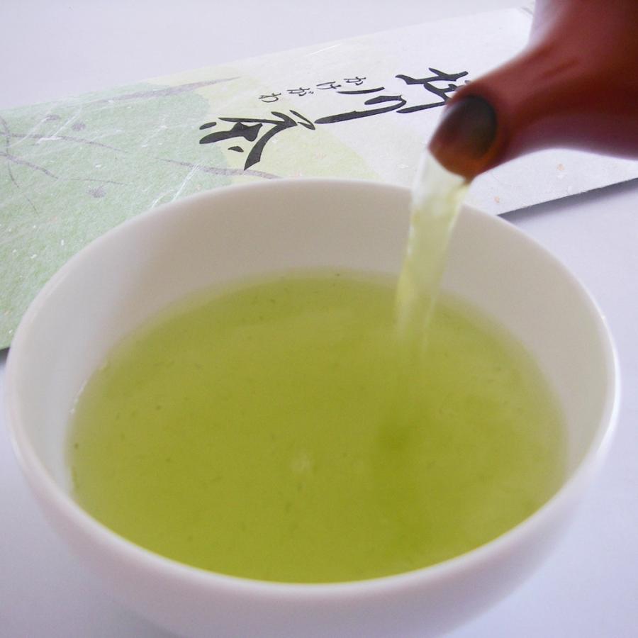 初めての方限定 深蒸し茶 掛川60g入り ［ 日本茶 煎茶 緑茶