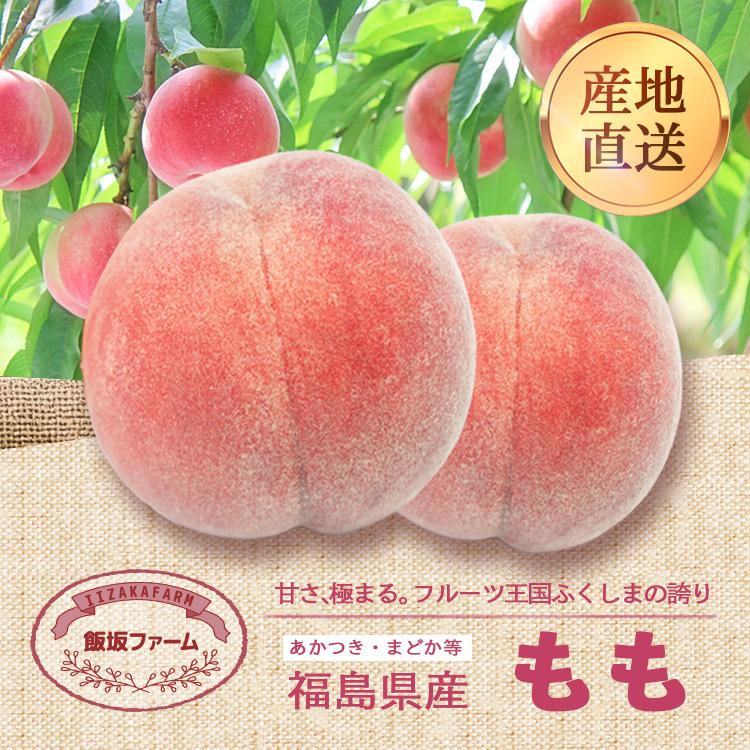 福島県産 もも 特秀 約5k16〜20玉 贈答用 産地直送 ふくしま 福島 飯坂 人気 果物 フルーツ 送料無料 お中元 ギフト プレゼント ...