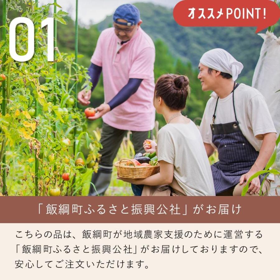 りんごジュース しぼりっぱなし グラニースミス 350ml 1本 ジュース ストレート 長野県 飯綱町 信州 ギフト 長野県産 林檎 リンゴ りんご 長野｜iizuna-farm｜05