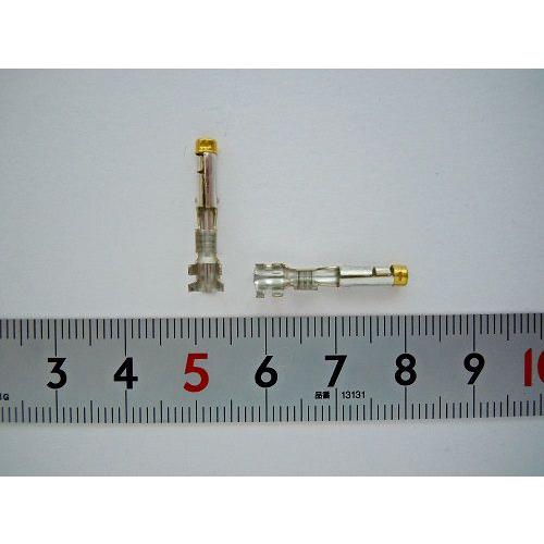 タイコーエレクトロニクスアンプ 〓 端子　10個 〓 170280-1 | 