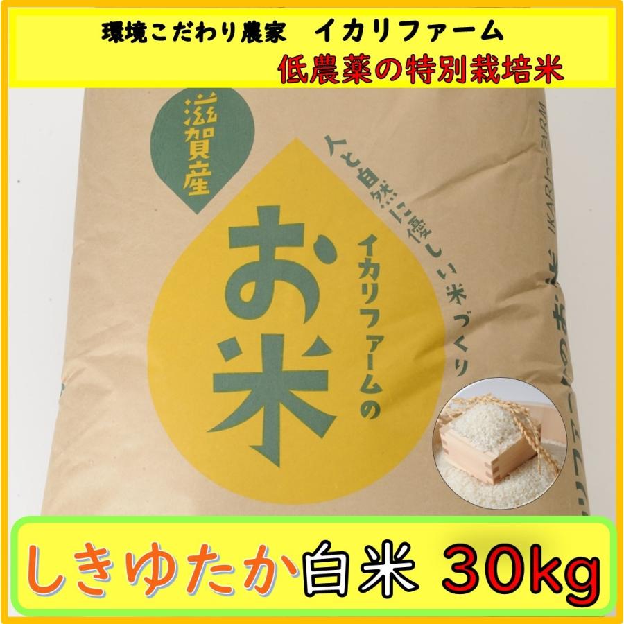 近江米送料込み精米30kg