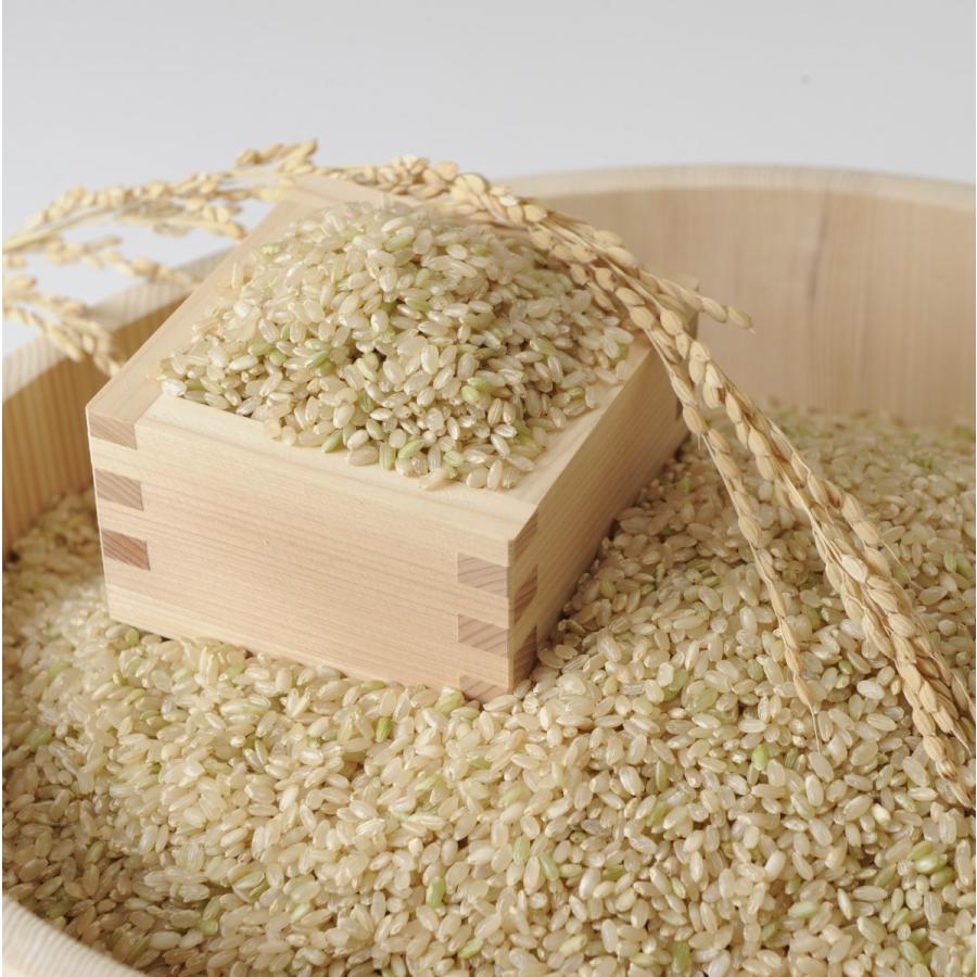 5年産 みずかがみ 玄米 30kg 「近江米」 <送料無料> 冷め 5年産 みずかがみ 玄米 30kg 「近江米」 <送料無料> 冷め