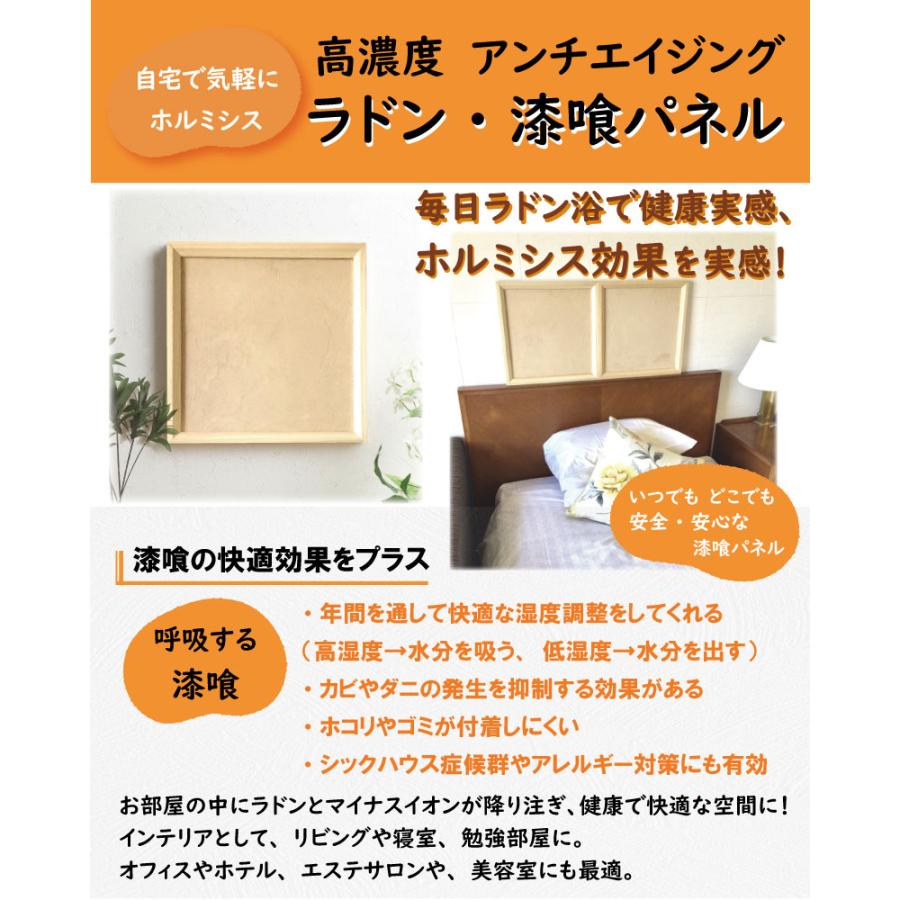 高濃度 アンチエイジング ラドン・漆喰パネル : IKクリエイション