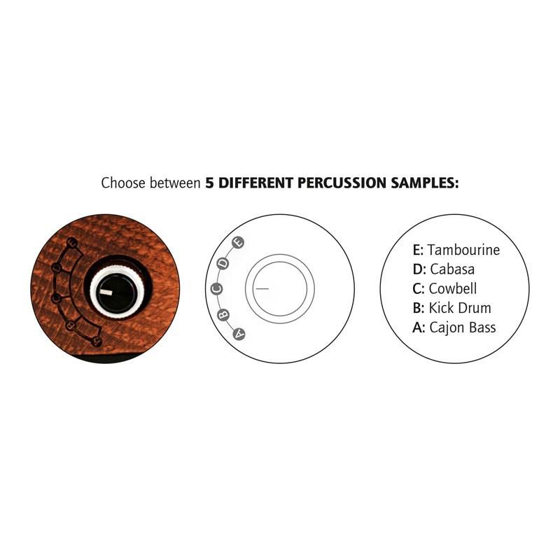 ORTEGA HORSE KICK PRO [Digital Stomp Box]【お取り寄せ品】 : イケベ