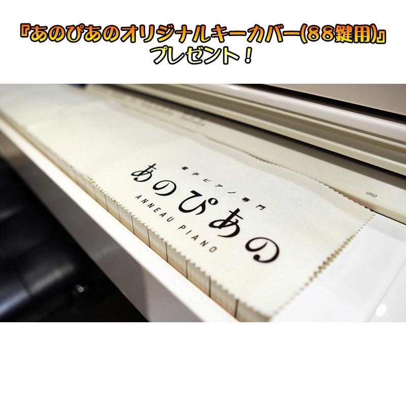 CASIO GP-510BP CELVIANO Grand Hybrid【C.ベヒシュタインコラボモデル】【3年保証】【全国配送設置無料※｜ikebe-revole｜03