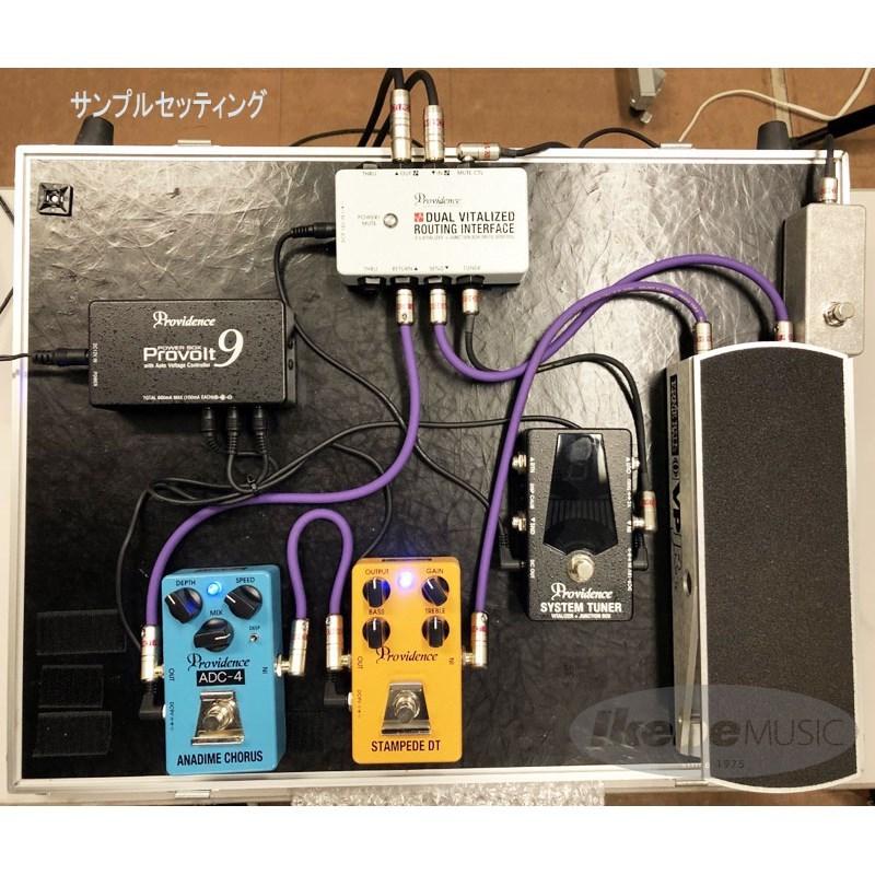 Providence DVI-1M [DUAL VITALIZED ROUTING] : イケベ楽器