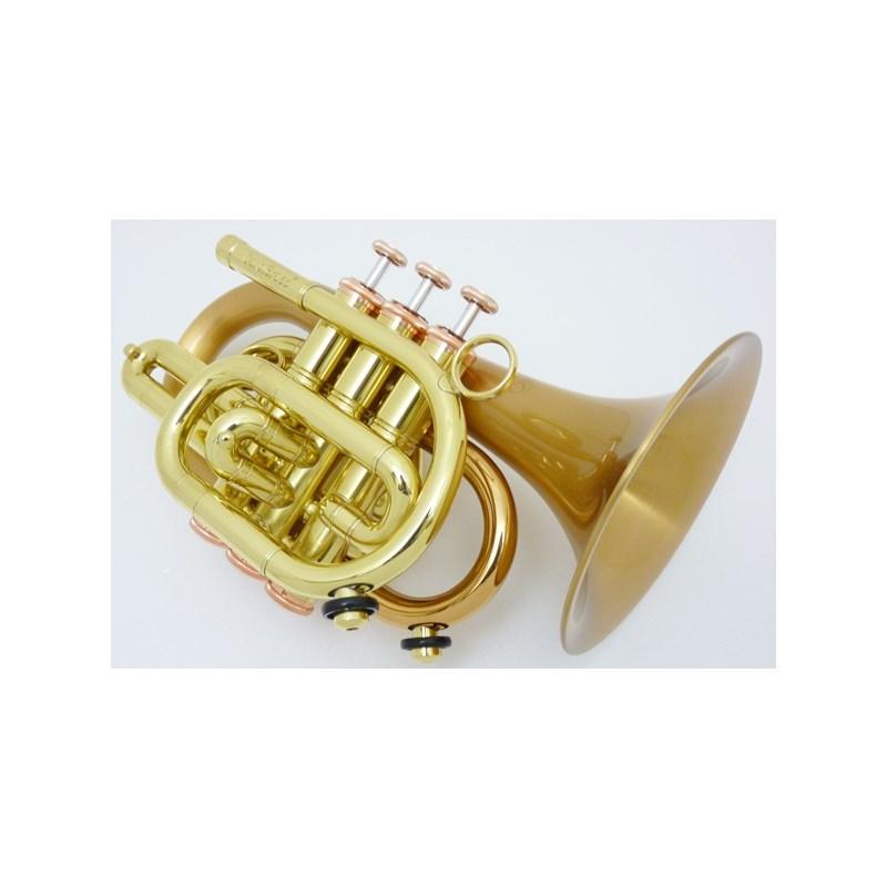 CAROL BRASS キャロルブラス / N3002 Arturo Sandoval 【Bb ポケット