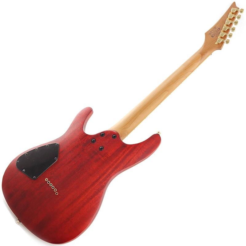 Ibanez（アイバニーズ） Ibanez SEW761FM-NTF (Natural Flat) : イケベ