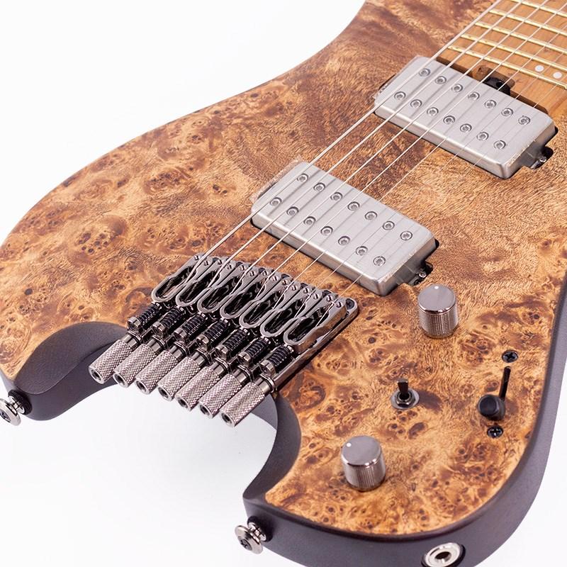 Ibanez（アイバニーズ） Ibanez QX527PB-ABS [SPOT MODEL] : イケベ