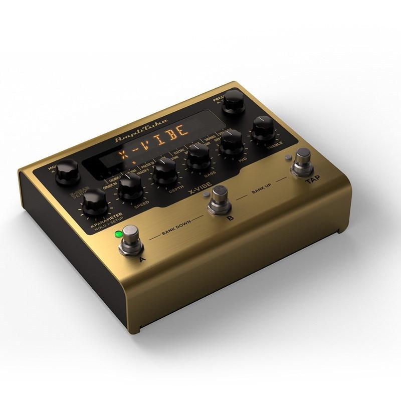 [即日発送] IK Multimedia AmpliTube X-VIBE 【CEG7179733004】(25410円)